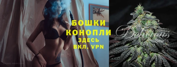 соль ск Семилуки