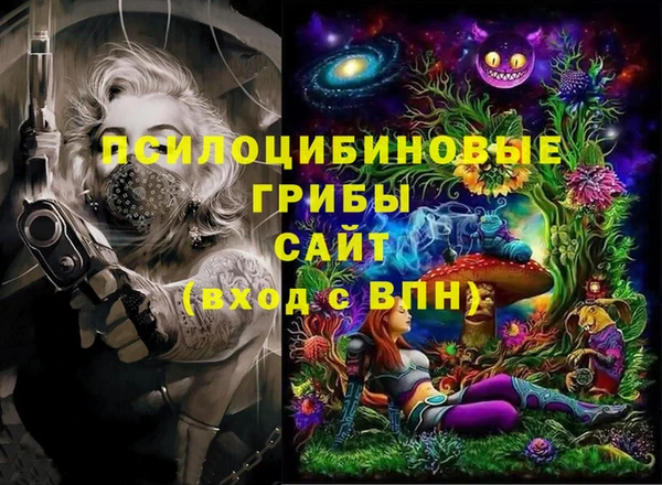 эйфоретик Богданович