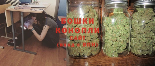 СК Бородино
