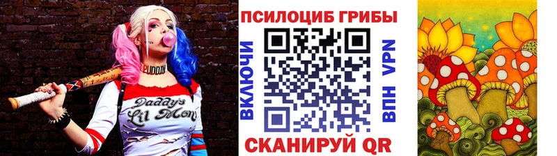 Псилоцибиновые грибы Cubensis  Медногорск 